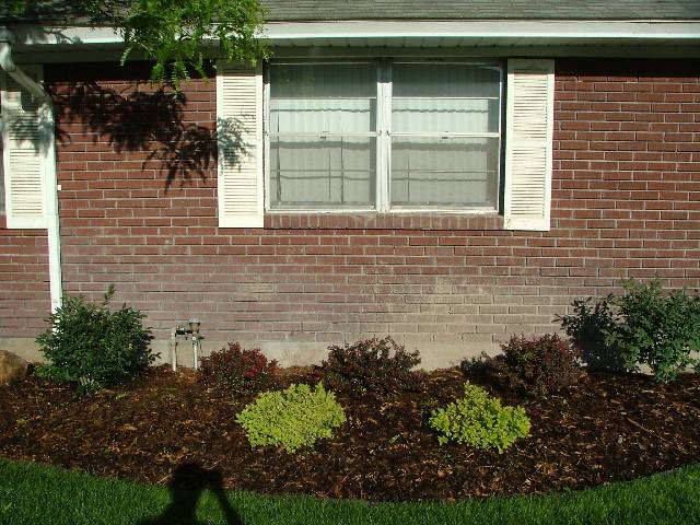 Before Image